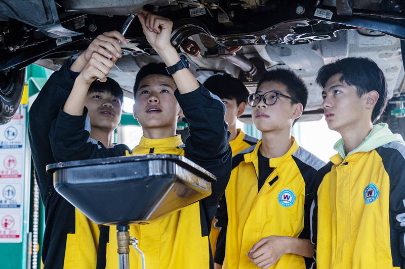 奇异果app官网下载：初中卒业学什么手艺
